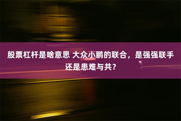 股票杠杆是啥意思 大众小鹏的联合，是强强联手还是患难与共？