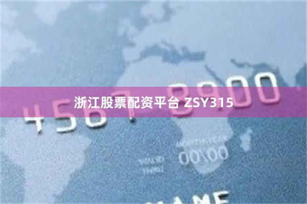 浙江股票配资平台 ZSY315