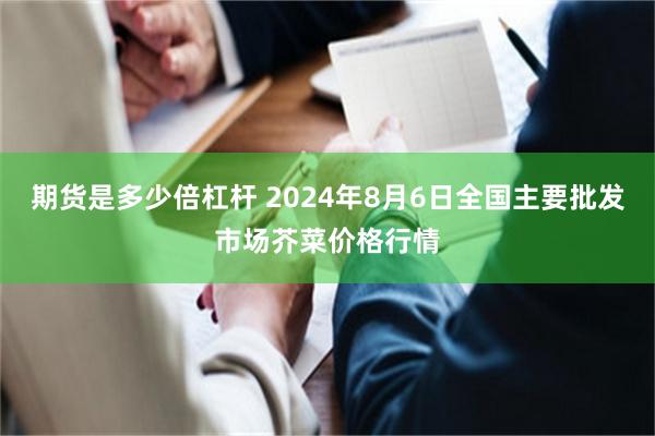 期货是多少倍杠杆 2024年8月6日全国主要批发市场芥菜价格行情