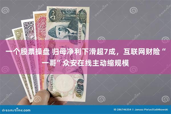 一个股票操盘 归母净利下滑超7成，互联网财险“一哥”众安在线主动缩规模