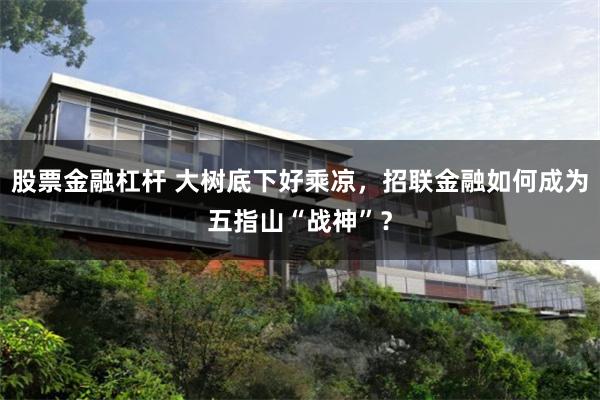 股票金融杠杆 大树底下好乘凉，招联金融如何成为五指山“战神”？