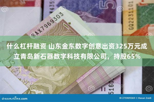 什么杠杆融资 山东金东数字创意出资325万元成立青岛新石器数字科技有限公司，持股65%